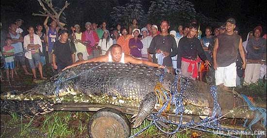 غول پیکر ترین و ترسناک ترین کروکودیل دنیا +تصاویر