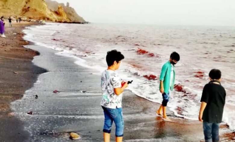 خبر جدید | سفر به جزایر هرمزگان دارای محدودیت سنی شد!