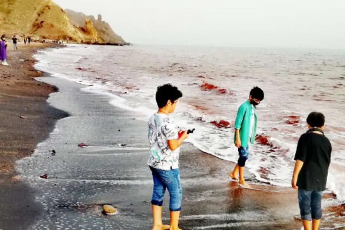 خبر جدید | سفر به جزایر هرمزگان دارای محدودیت سنی شد!