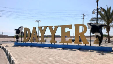 خبر جدید؛ نمای هوایی از ساحل بکر و زیبای بندر دیر بوشهر