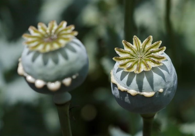 1396021911133246610781914-1 1396021911133246610781914