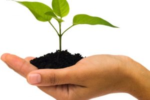 خبر جدید؛ جملات زیبا و خواندنی (سری جدید) جملات زیبا و خواندنی (سری جدید)