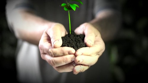 زندگی زیباست (سری دوم) زندگی زیباست (سری دوم)