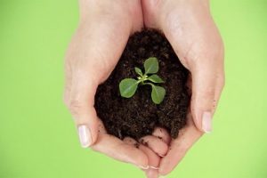 خبر جدید؛ زندگی زیباست (سری دوم) زندگی زیباست (سری دوم)