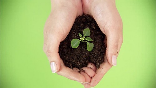 زندگی زیباست (سری دوم) زندگی زیباست (سری دوم)