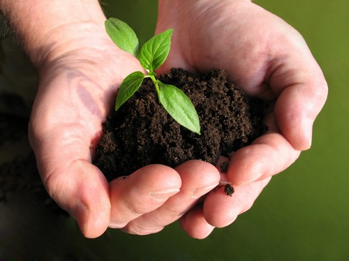 زندگی زیباست (سری دوم) زندگی زیباست (سری دوم)