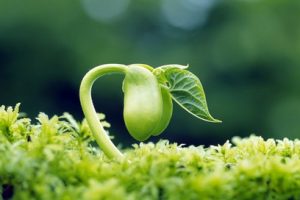 خبر جدید؛ جملات و متن های خواندنی جدید جملات و متن های خواندنی جدید