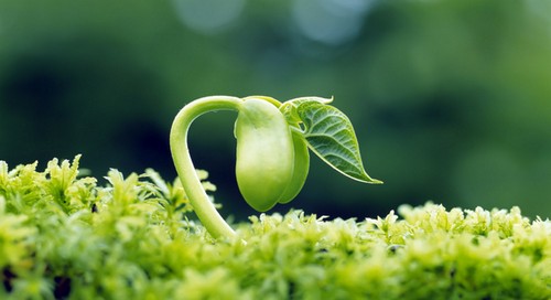 جملات و متن های خواندنی جدید