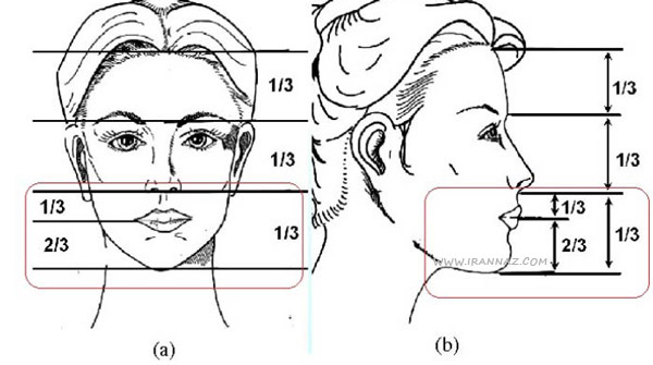 166563743967694-irannaz-com زیبایی چطور اندازه گیری می شود؟ ، زیباترین زن جهان
