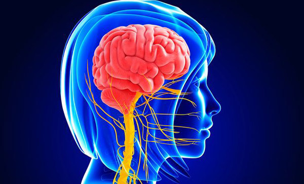 167554177780915-irannaz-com زنان تمایل بیشتری به خلاقیت دارند ، حقایق بسیار جالب و خواندنی درمورد بدن خانم ها