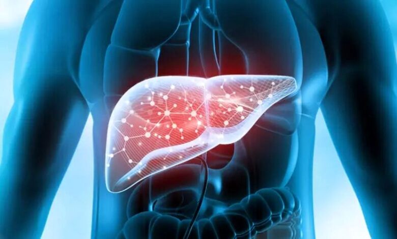 خبر جدید | گیاهی که از کبد محافظت می‌کند