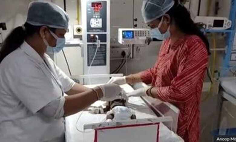 خبر جدید | تلاش برای نجات نوزادِ زنده به گور شده