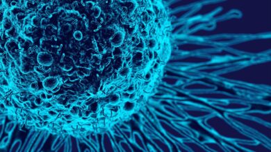 سرطان می ‌تواند روند پیری بدن را تسریع کند