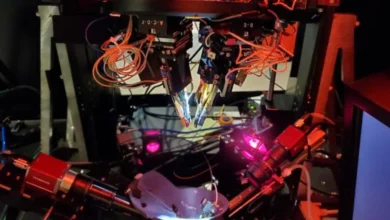 بازسازی خطای دید در مغز با فناوری لیزری پیشرفته