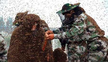 رکورد جالب مرد چینی با تحمل 2 هزار نیش زنبور (عکس)
