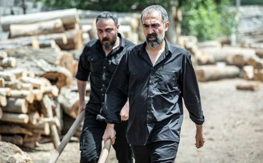 lions-skin13-1024x636-2 Lions-skin13-1024x636