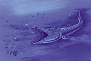 عجیب ترین ماهی 92 میلیون ساله کشف شد (عکس)