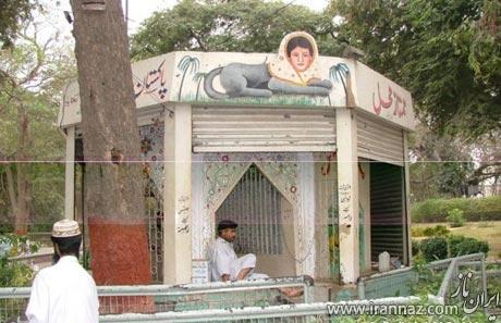 وجود یک روباه اسرارآمیز در این باغ وحش (عکس) وجود یک روباه اسرارآمیز در این باغ وحش (عکس)