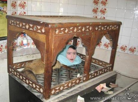 وجود یک روباه اسرارآمیز در این باغ وحش (عکس) وجود یک روباه اسرارآمیز در این باغ وحش (عکس)