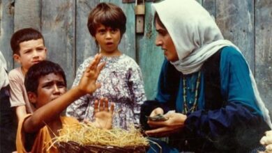 نسخه ترمیم شده «باشو غریبه کوچک» در فیلم‌نت منتشر شد