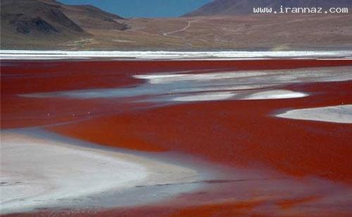 زیبا، رنگارنگ و خارق العاده ترین دریاچه ها! (+تصاویر) زیبا، رنگارنگ و خارق العاده ترین دریاچه ها! (+تصاویر)