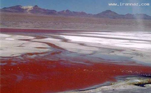 زیبا، رنگارنگ و خارق العاده ترین دریاچه ها! (+تصاویر) زیبا، رنگارنگ و خارق العاده ترین دریاچه ها! (+تصاویر)