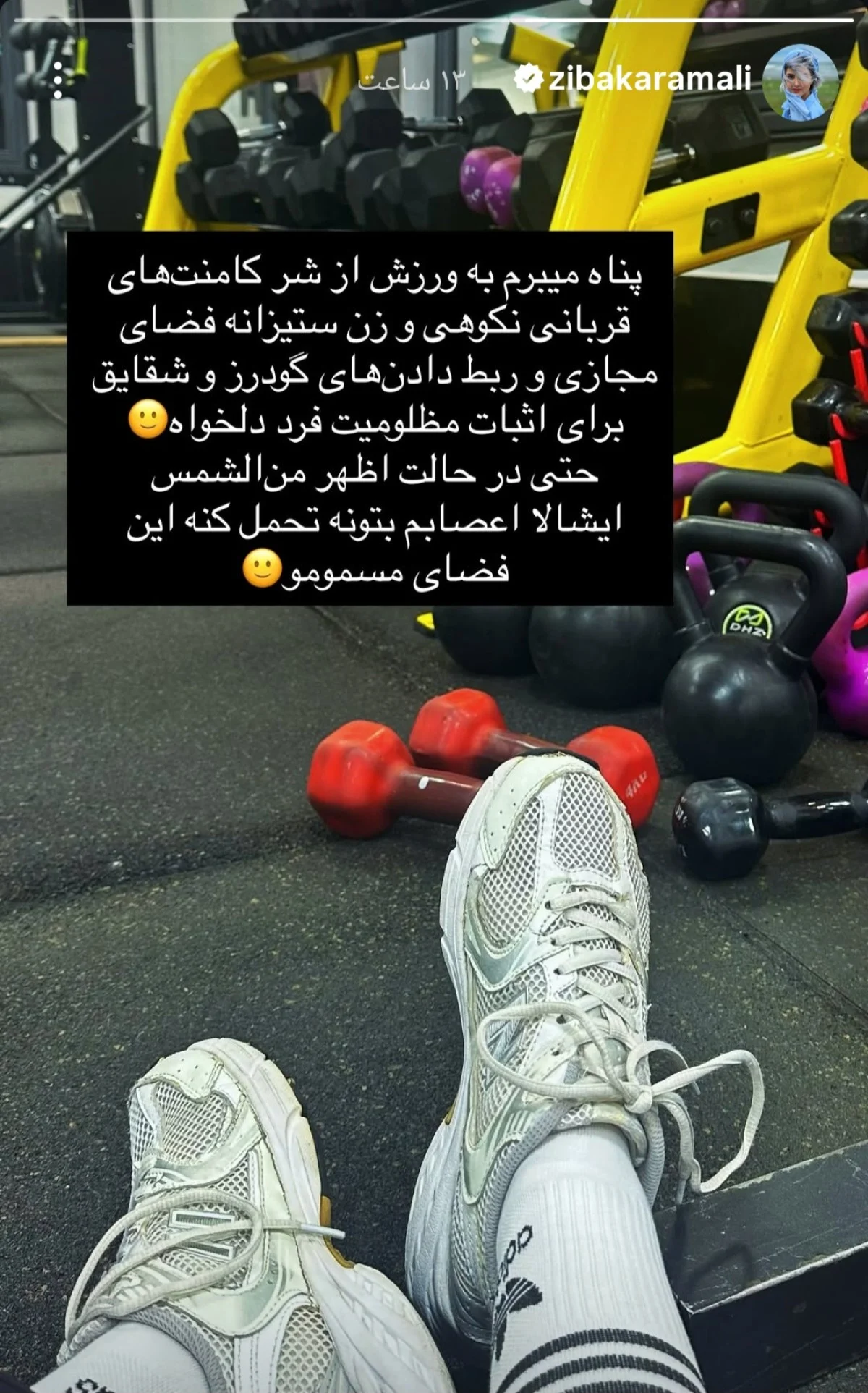 استوری جنجالی زیبا کرمعلی در مورد گناهکار بودن پژمان جمشیدی!