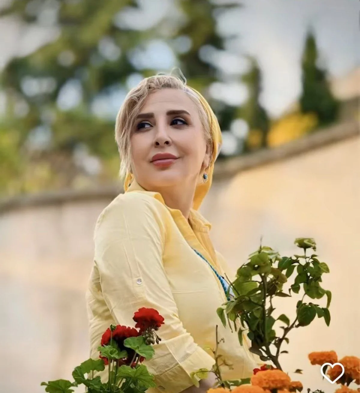 2025-10-29_15-22-46_517284-meylesokhan-ir photo_2024-10-07_10-56-08