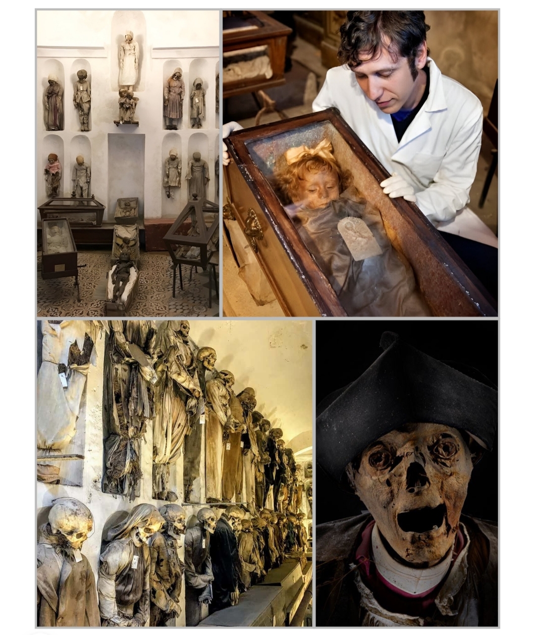 d9b61769-f78b-46a1-9d79-e47b4d8b1873 d9b61769-f78b-46a1-9d79-e47b4d8b1873