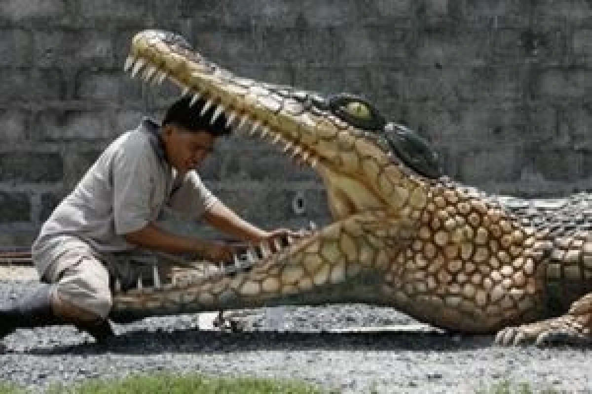 خبر جدید؛ در این معبد تمساح مقدس است و پرستش می شود! در این معبد تمساح مقدس است و پرستش می شود!