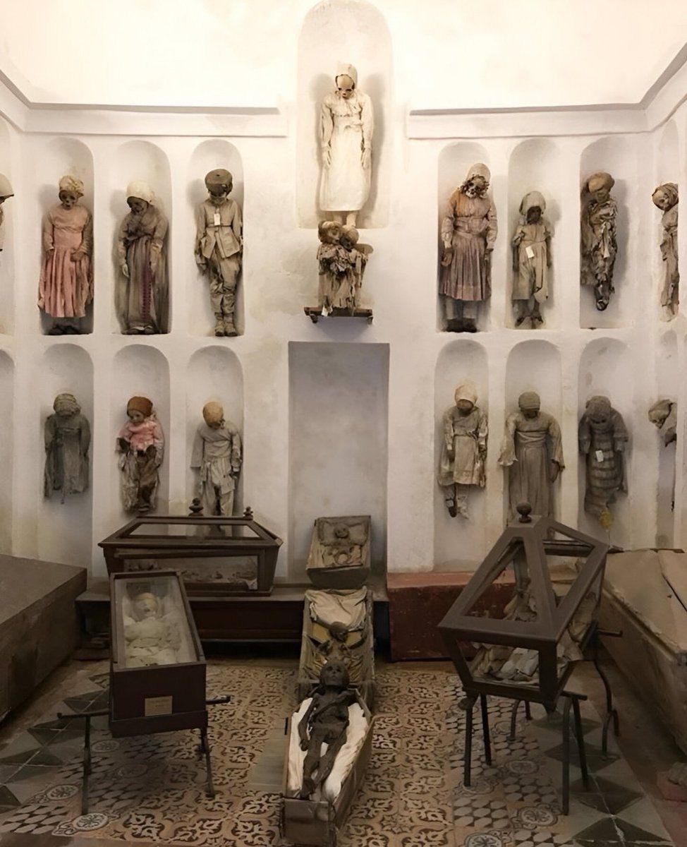 photo_2025-10-28_11-26-16 photo_2025-10-28_11-26-16