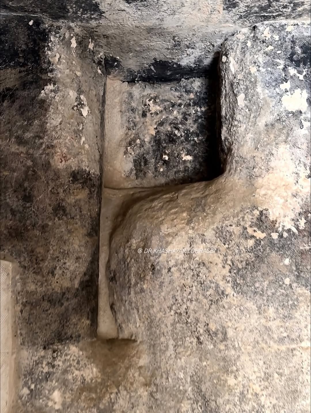 photo_2025-10-28_14-12-5928329 photo_2025-10-28_14-12-59 (3)