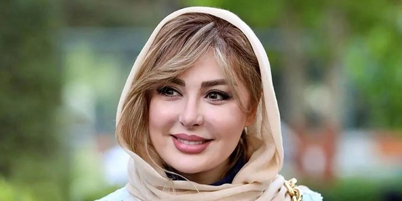 سارقِ حسابِ بانکی نیوشا ضیغمی در دامِ پلیس؛ کلاهبردارِ اسکیمینگ دستگیر شد!
