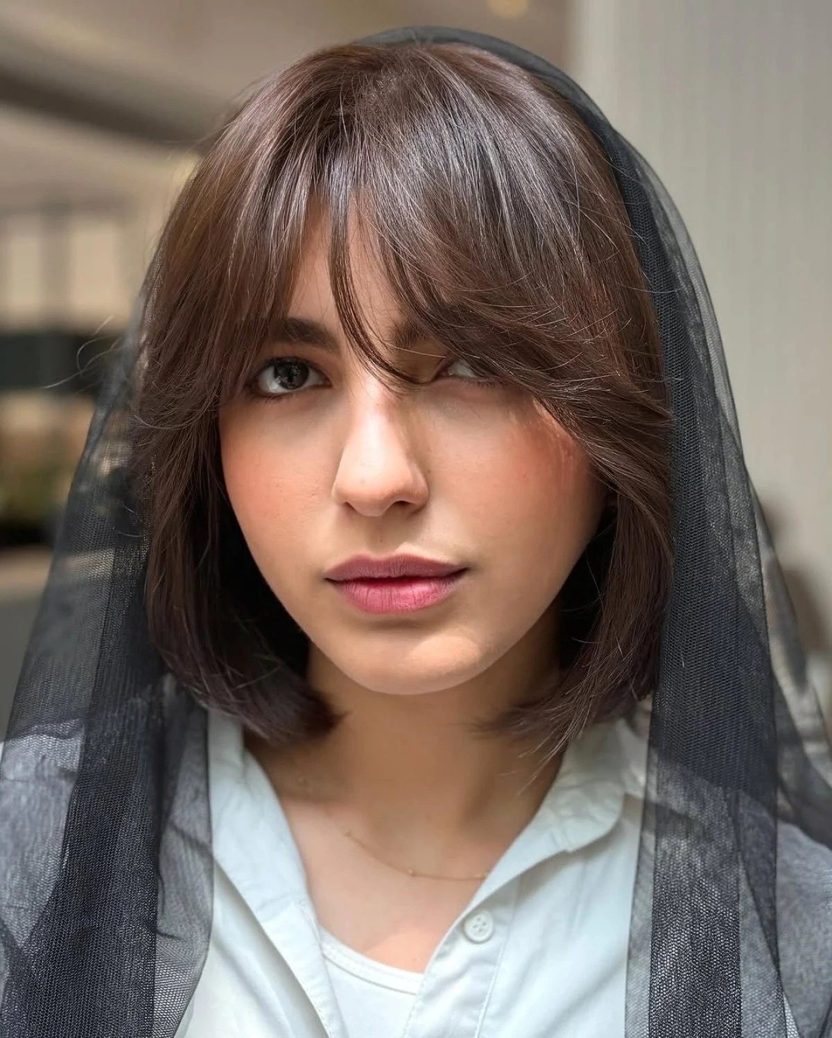 photo_2025-07-04_05-33-17