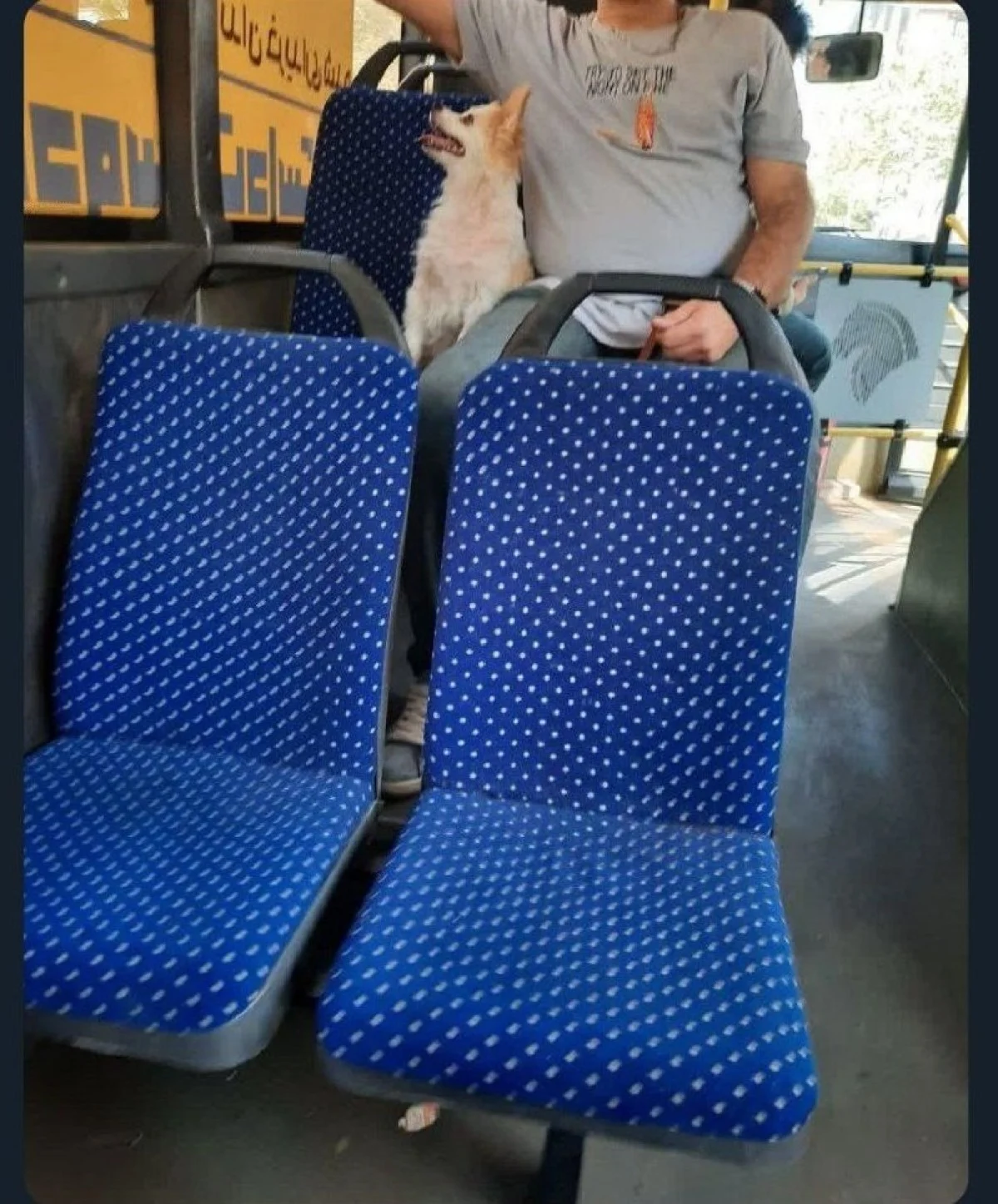 photo_2025-11-03_09-01-26