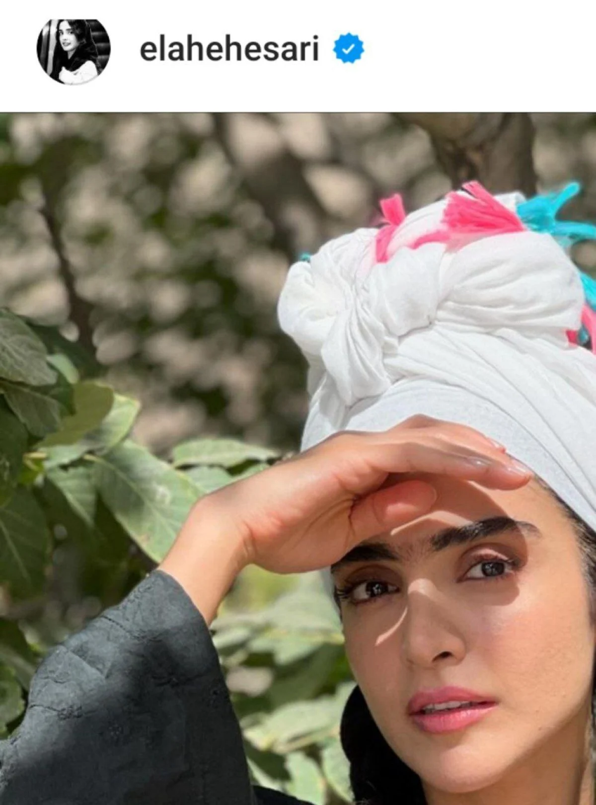 2025-11-03_17-13-52_246868-meylesokhan-ir photo_2024-10-28_11-29-49