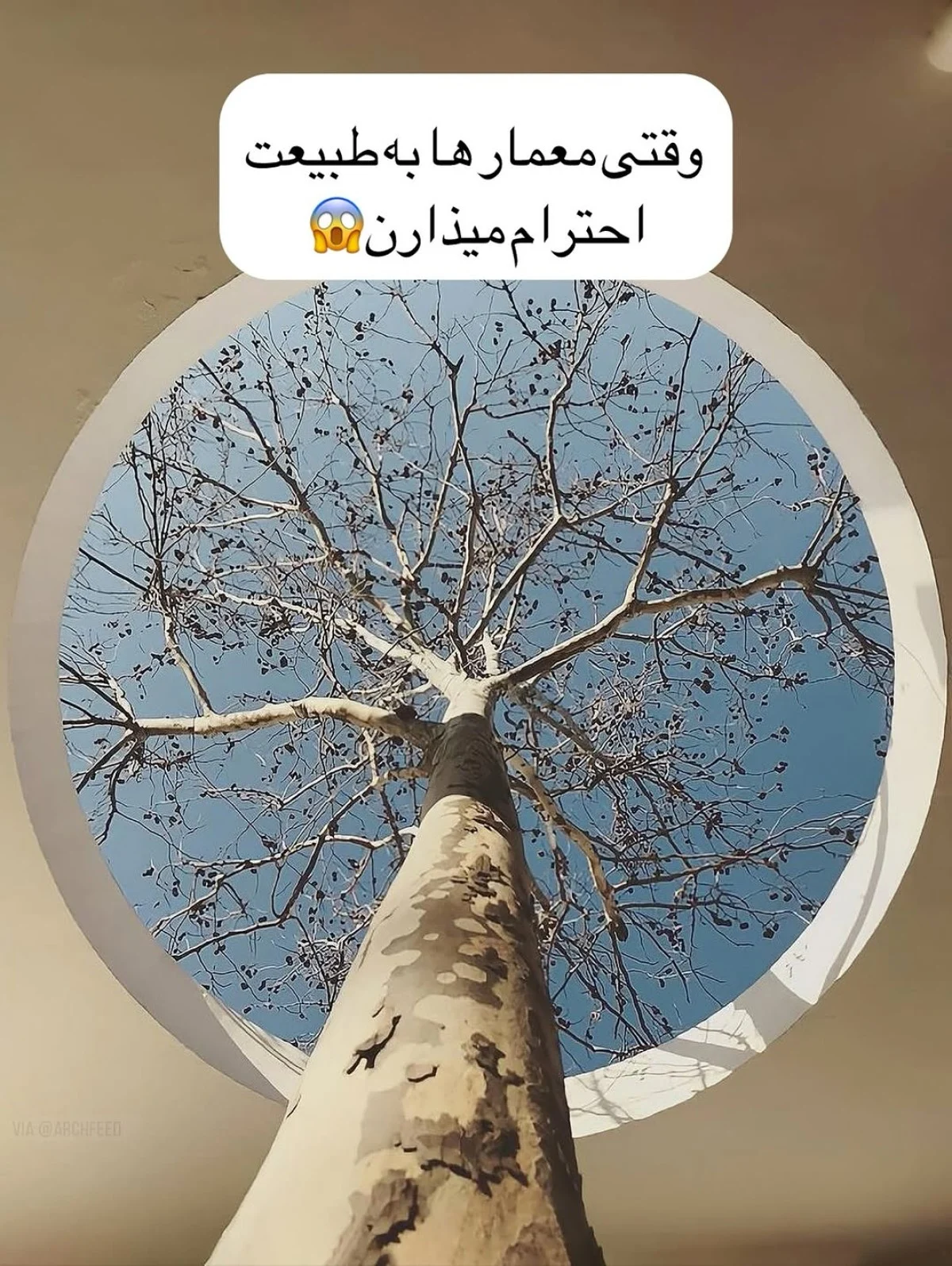 2025-11-04_14-05-33_105477-meylesokhan-ir photo_2025-11-04_11-38-08