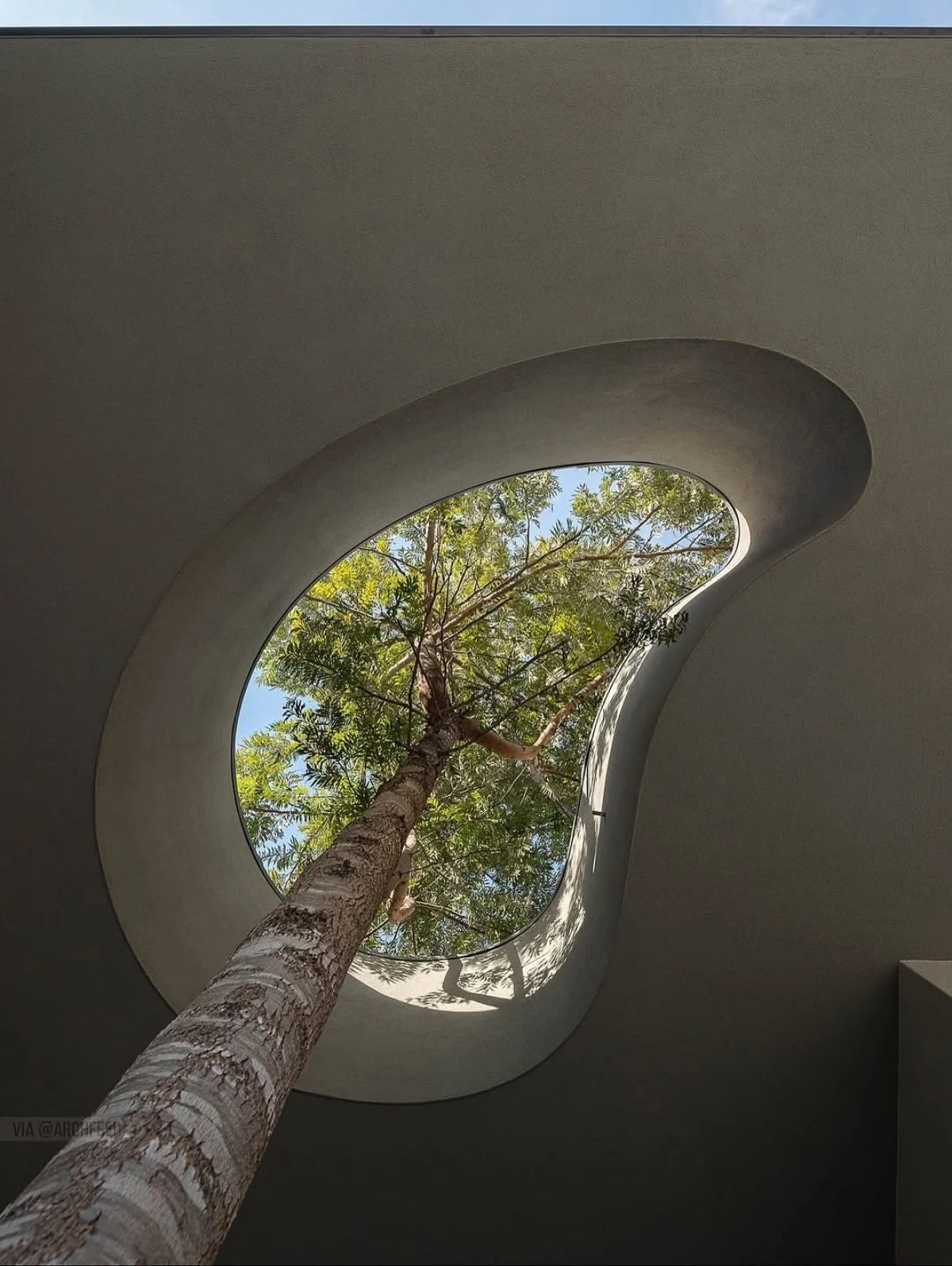 2025-11-04_14-05-36_317712-meylesokhan-ir photo_2025-11-04_11-38-08 (2)