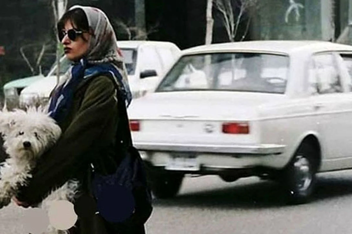 تاریخ عکس گردی| تصاویری خاطره‌انگیز از تهران در یک قرن گذشته