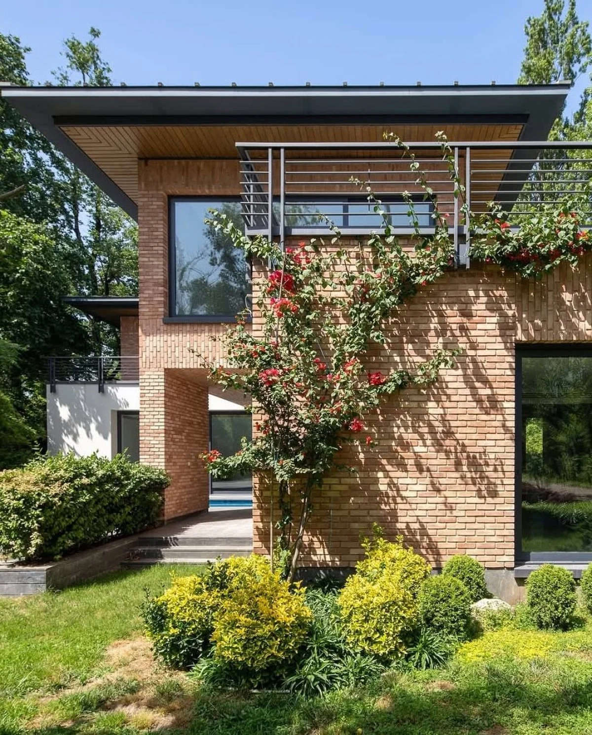 photo_2025-11-05_15-47-09 (3)