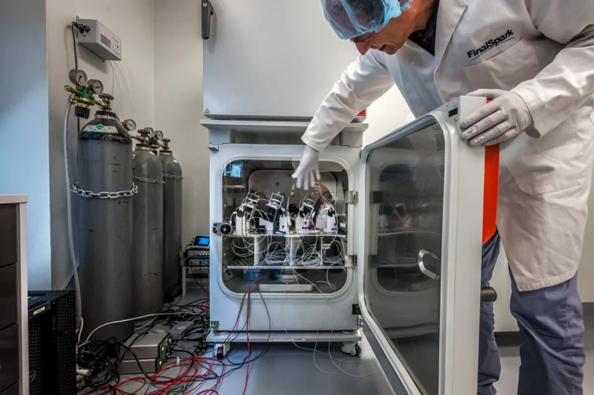 2025-11-14_15-36-34_320270-meylesokhan-ir 1