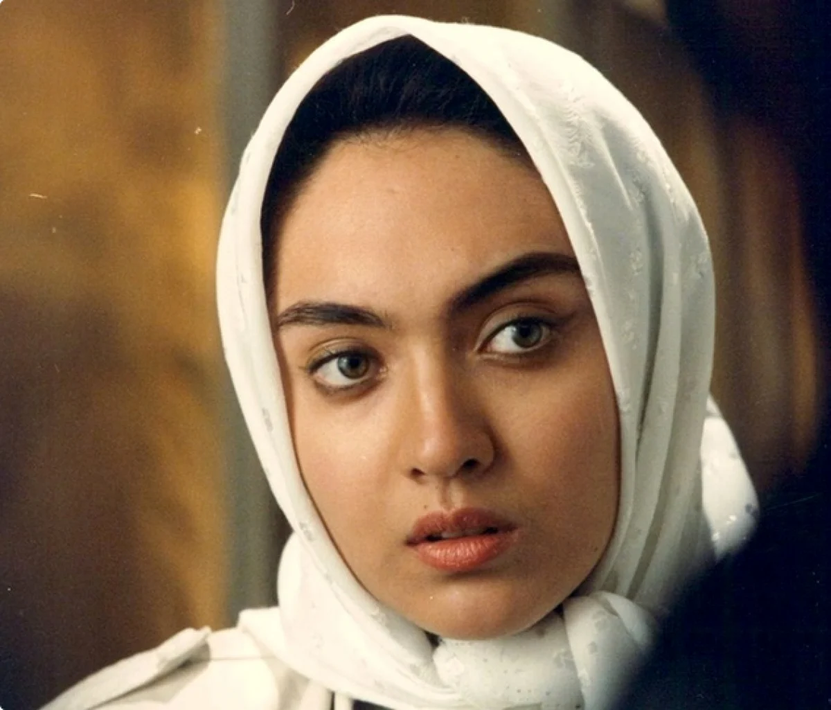 2025-11-14_15-51-12_545774-meylesokhan-ir نیکی+کریمی+(3)