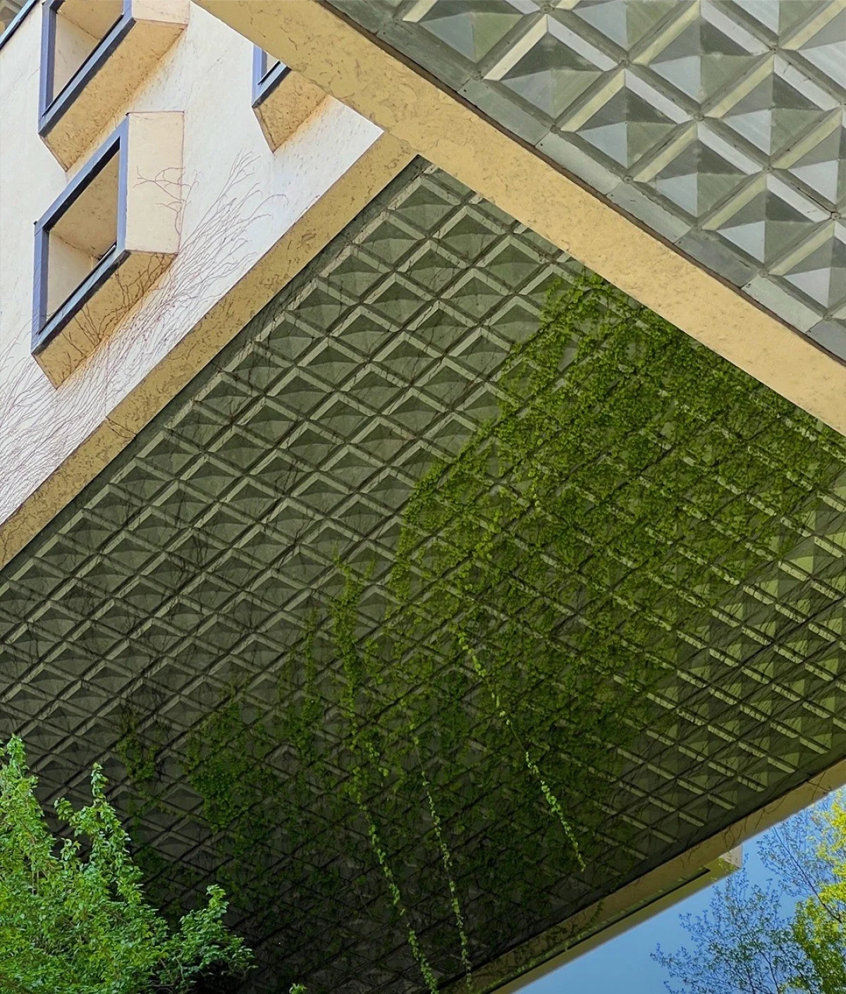 2025-11-14_22-58-20_521739-meylesokhan-ir 19