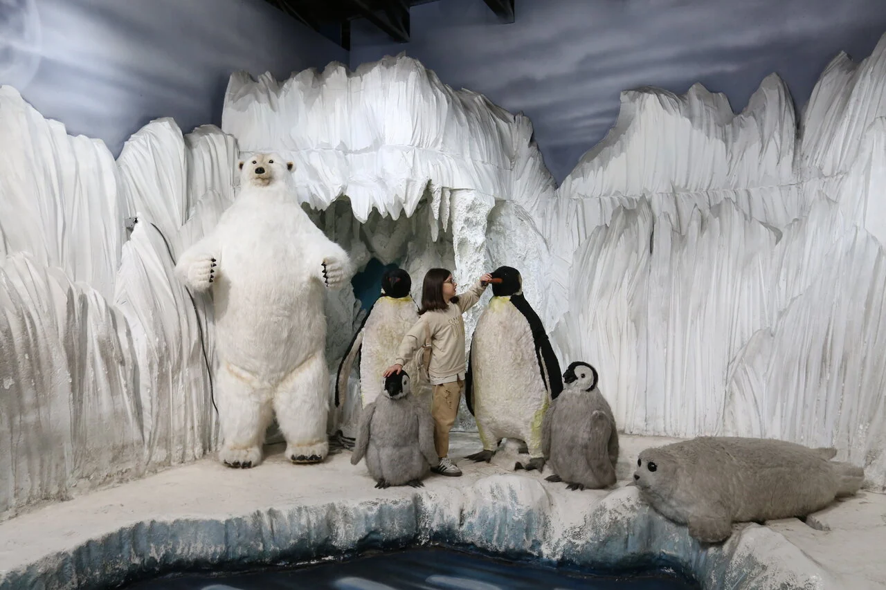 2025-11-15_19-44-42_244657-meylesokhan-ir 5269756