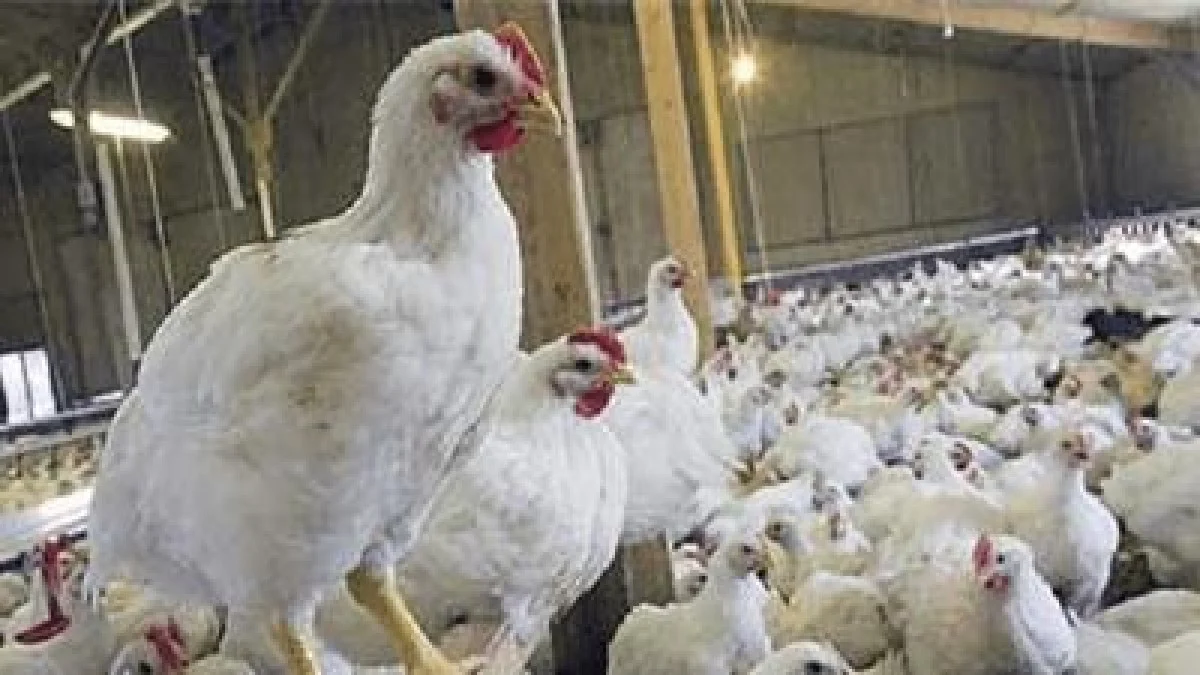 2025-11-15_21-27-49_729802-meylesokhan-ir akharinkhabar-pxjbt