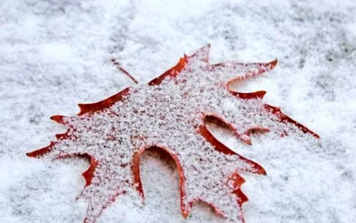 ورود پرقدرت سامانه بارشی؛ بارش برف و باران در ۱۹ استان و هشدار سیلاب صادر شد