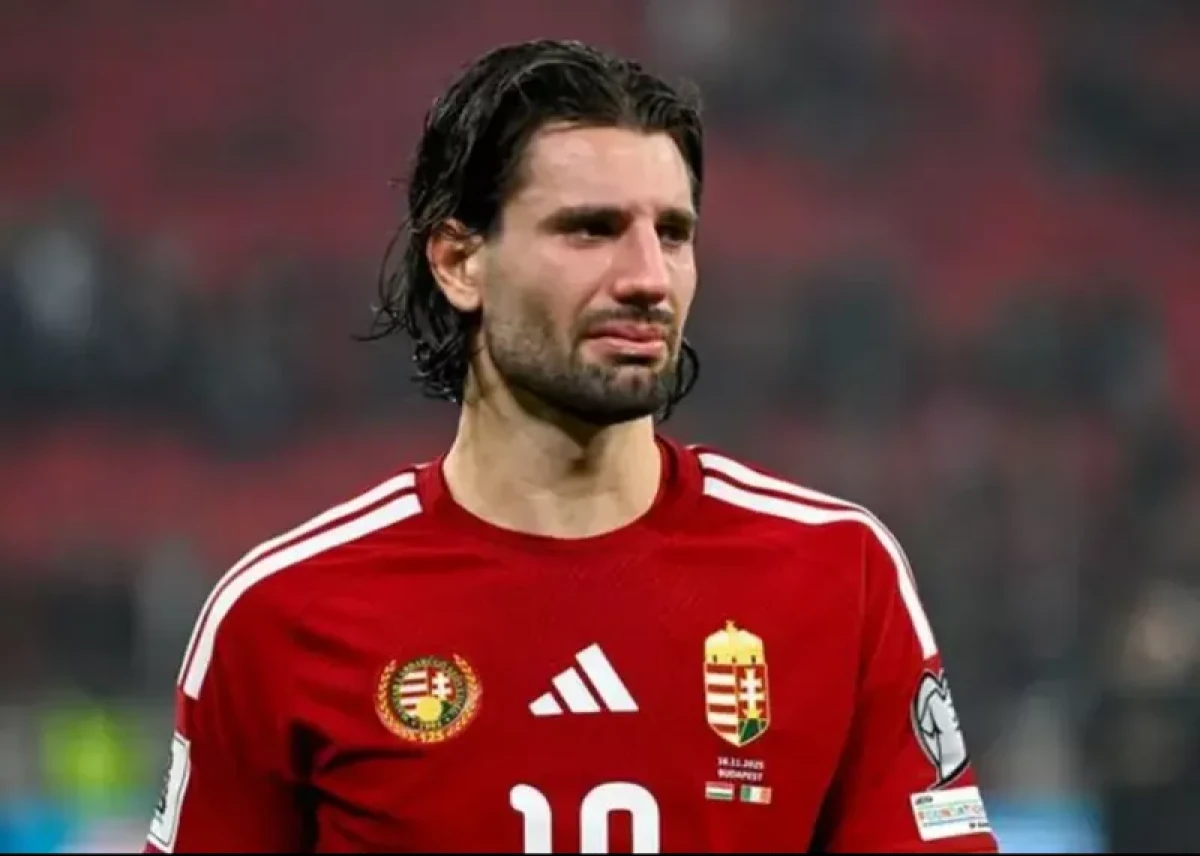 شوک و اشک در بوداپست؛ ایرلند با گل دقیقه ۹۶ رؤیای مجارستان را نابود کرد و به پلیآف جام جهانی رسید شوک و اشک در بوداپست؛ ایرلند با گل دقیقه ۹۶ رؤیای مجارستان را نابود کرد و به پلیآف جام جهانی رسید