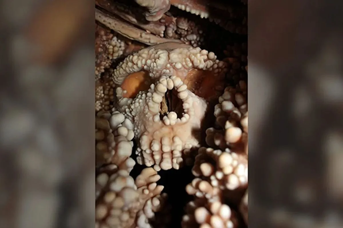 نگاه روز | جمجمه ۱۳۰هزارساله حقیقت تازه‌ای را لو داد!