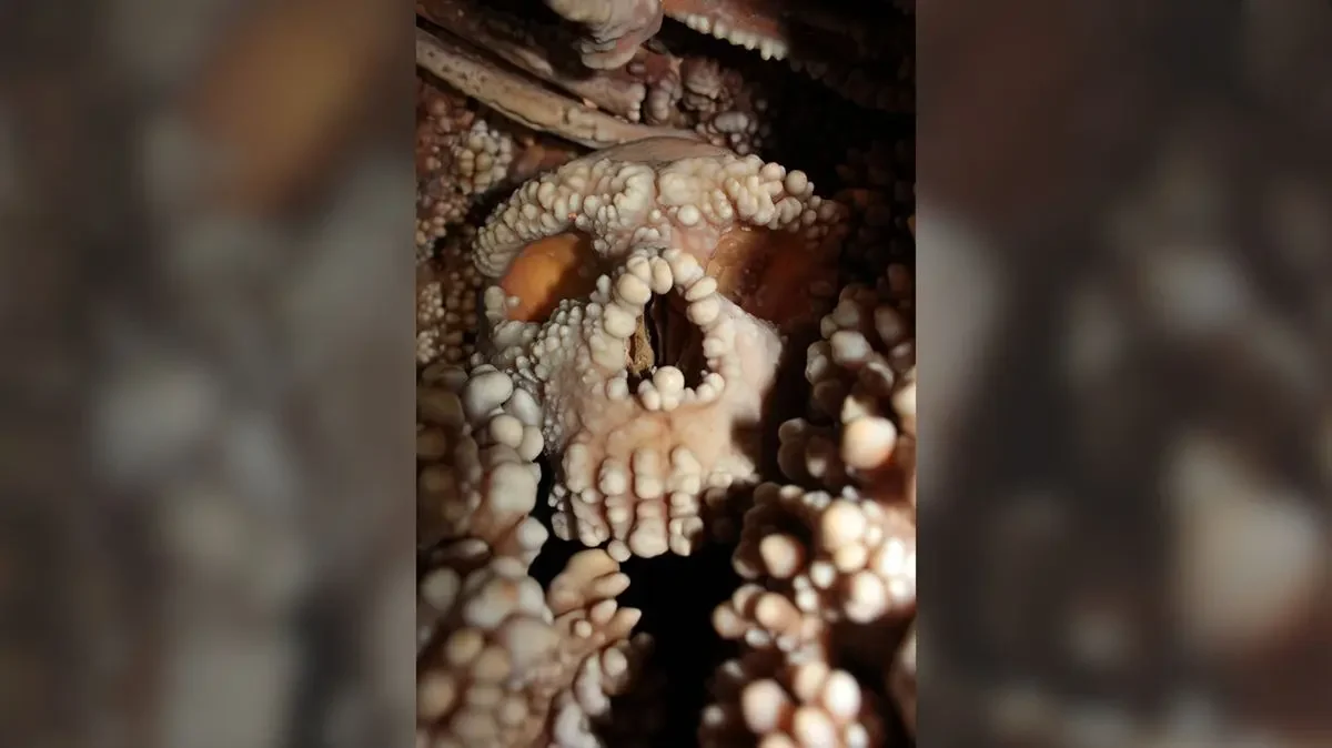 2025-11-18_15-08-28_510385-meylesokhan-ir 2_11zon