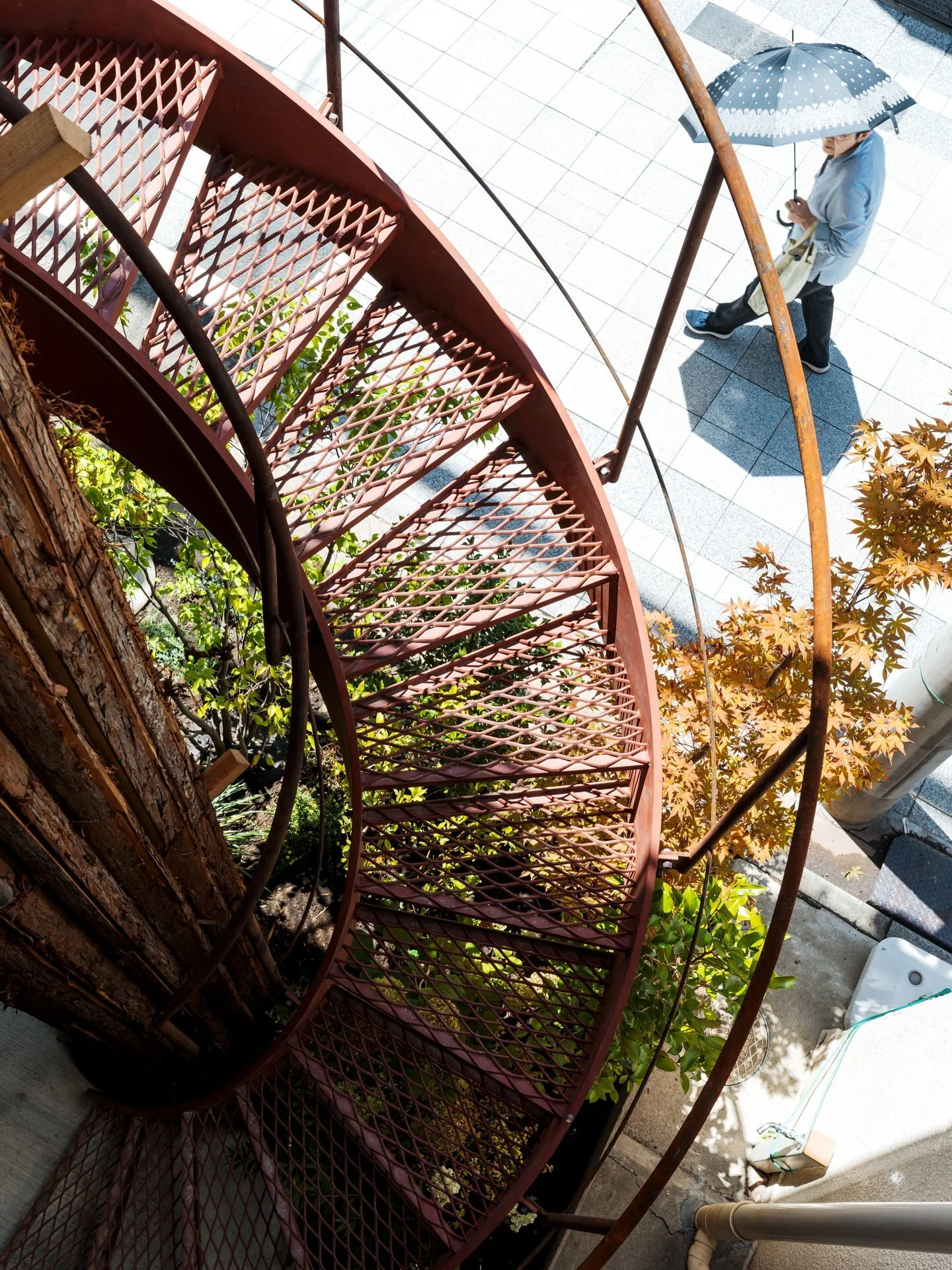 2025-11-18_20-21-01_206590-meylesokhan-ir 2